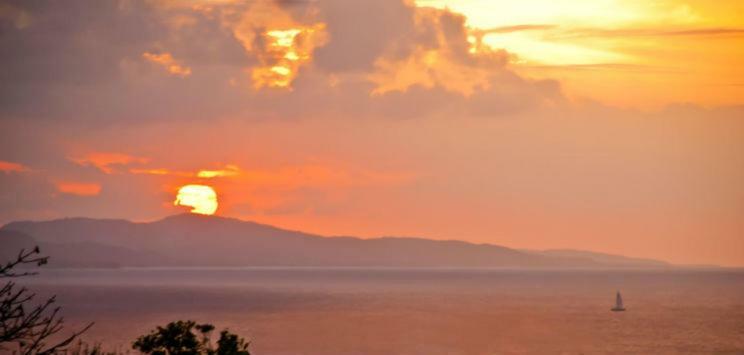 Mynt Retreat Bed & Breakfast Montego Bay Ngoại thất bức ảnh